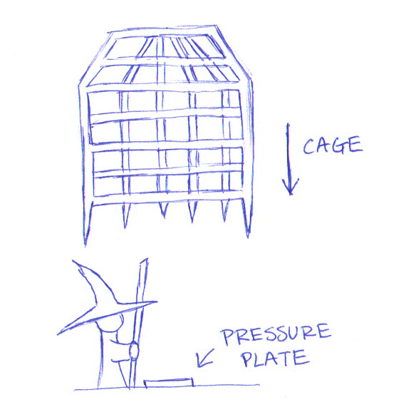 Cage Trap
