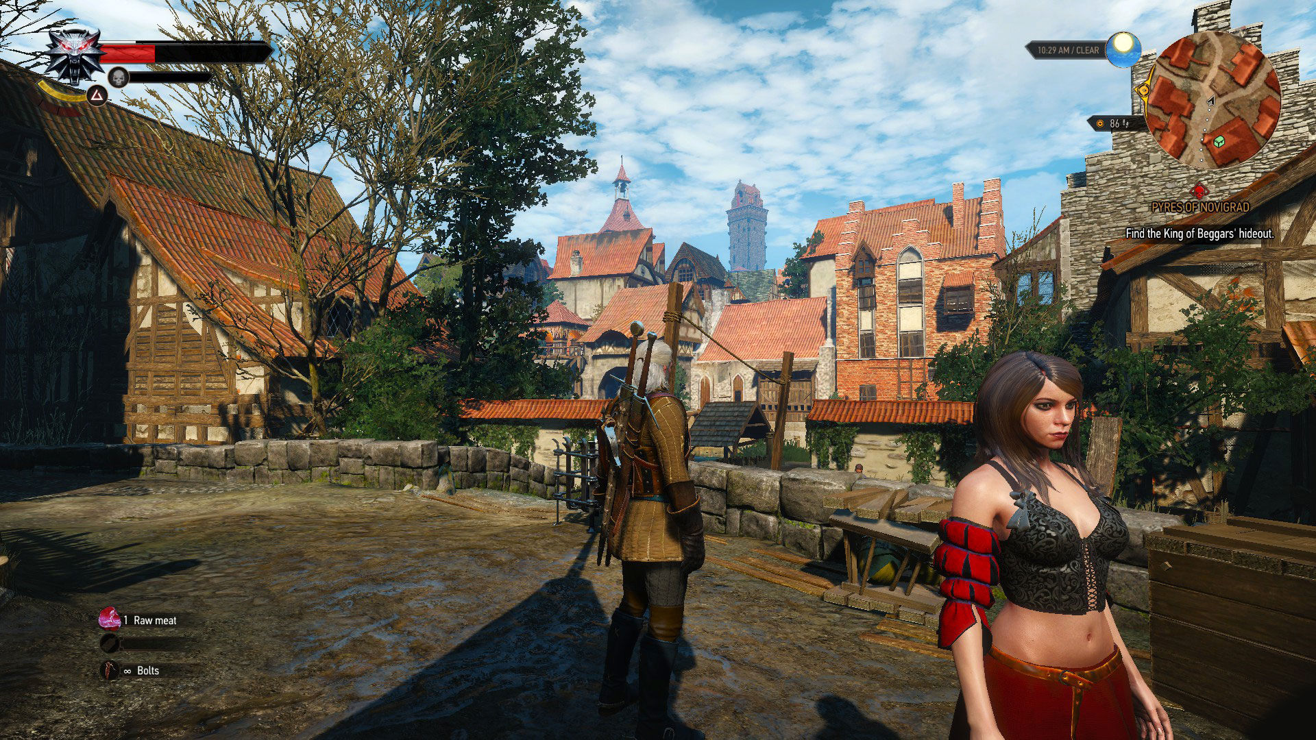Novigrad